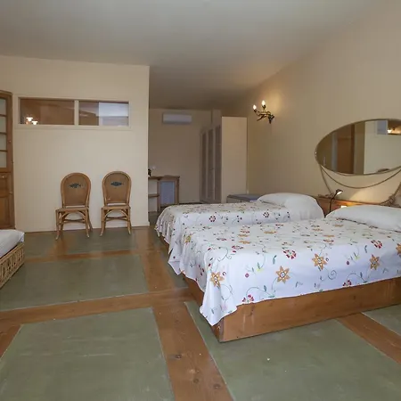 Villa Superior For 19 Guests *